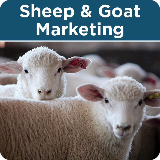 Livestock Marketing United Producers